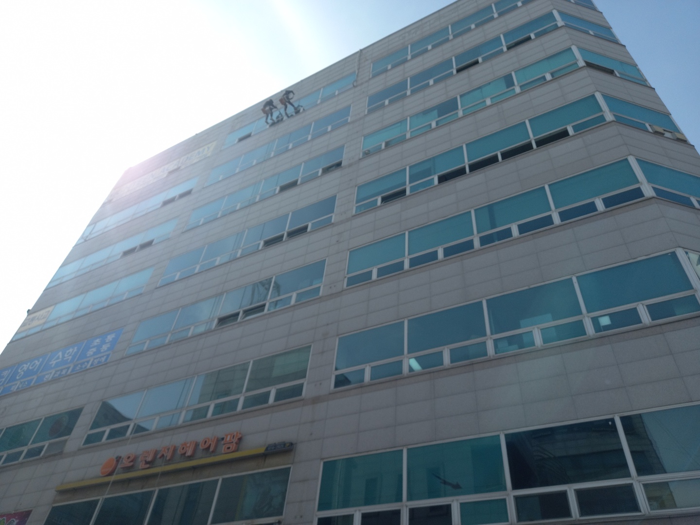 2950055133_AbWkU1wl_1c4549499e9a6c4164a62fa89eb9de1553637030.jpg 이미지크게보기